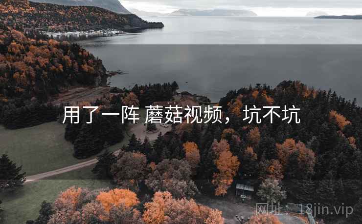 用了一阵 蘑菇视频，坑不坑