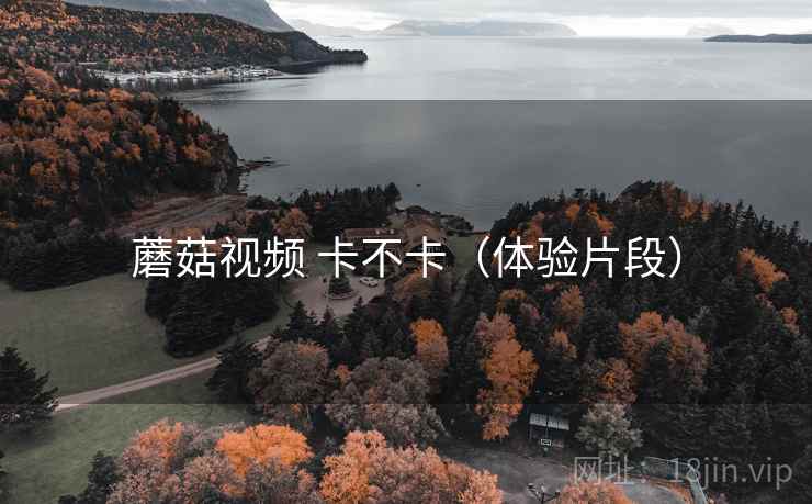 蘑菇视频 卡不卡（体验片段）  第2张