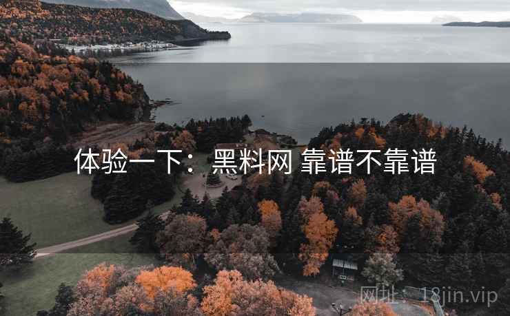 体验一下：黑料网 靠谱不靠谱  第2张