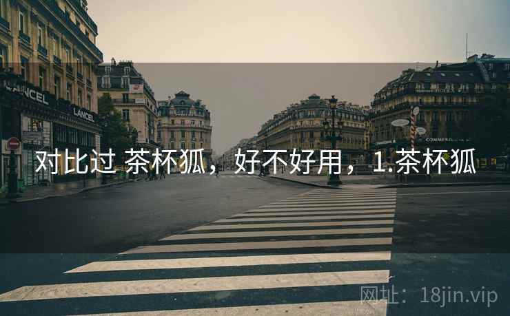 对比过 茶杯狐，好不好用，1.茶杯狐