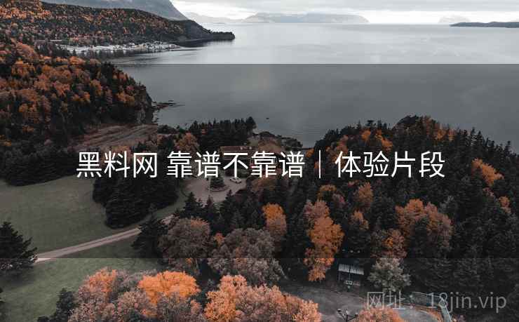 黑料网 靠谱不靠谱｜体验片段  第2张